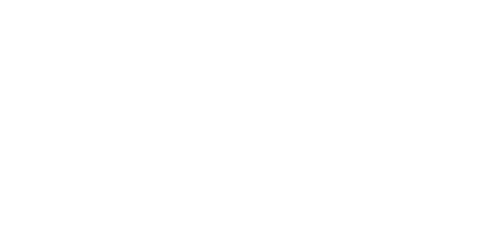 logo e20