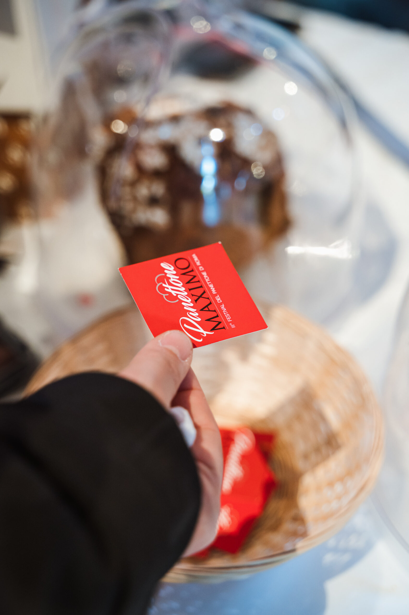 Panettone_Maximo_44_Stampa
