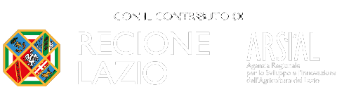 regionelazio-arsial